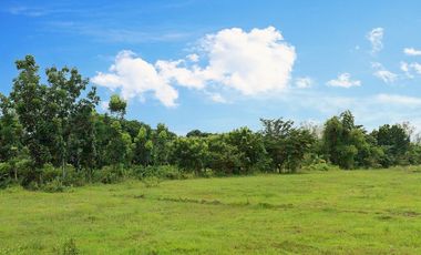 RUSH SALE! 60,000 sqm Farm Lot for sale in Tarlac City, Tibag with fruit bearing trees & 6 big fishponds
