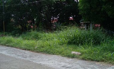 LOT FOR SALE SAN CARLOS VILLA HABAY BACOOR CAVITE