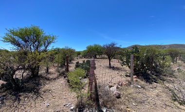 SE VENDE TERRENO CAMPESTRE POR CARRETERA SAN RAMÓN-GUADALAUPE ZACATECAS.