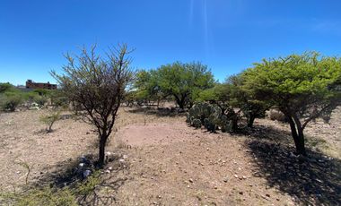 SE VENDE TERRENO CAMPESTRE POR CARRETERA SAN RAMÓN-GUADALAUPE ZACATECAS.