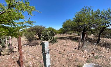 SE VENDE TERRENO CAMPESTRE POR CARRETERA SAN RAMÓN-GUADALAUPE ZACATECAS.