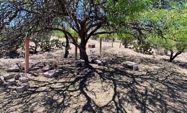 SE VENDE TERRENO CAMPESTRE POR CARRETERA SAN RAMÓN-GUADALAUPE ZACATECAS.