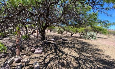 SE VENDE TERRENO CAMPESTRE POR CARRETERA SAN RAMÓN-GUADALAUPE ZACATECAS.