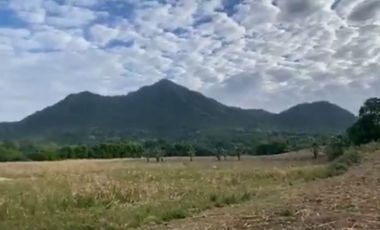 120.97 Hectares Farm Lot for Sale in Brgy. Mataas na Pulo, Nasugbu, Batangas ideal place for Agro Farm Tourism Development Project