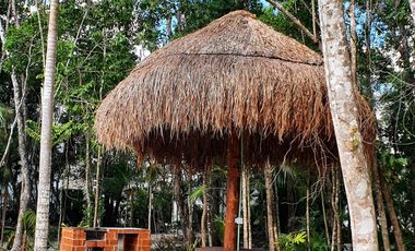Renta casa en Puerto Morelos selva escondida