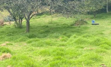 Terreno en venta 2.700m2 a 5 minutos de Challuabamba - Panamericana Norte Cuenca