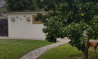 Huerta nogalera en el pueblo mágico Bustamante, N.L.