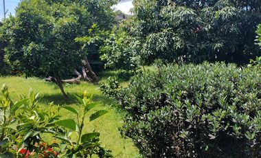 Enorme JARDIN, casa espectacular con bungalow en Chamilpa. Muy bien ubicada