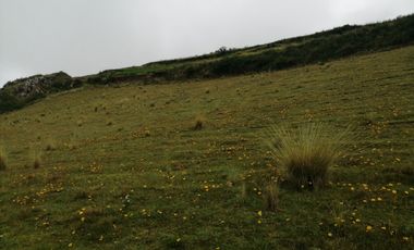 Terreno Nuevo Triunfo CHINCHERO Urubamba Cusco 3330m2