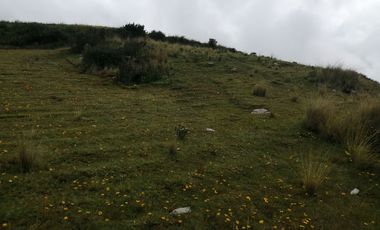 Terreno Nuevo Triunfo CHINCHERO Urubamba Cusco 3330m2