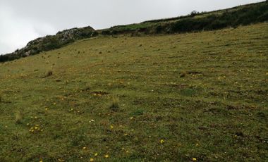 Terreno Nuevo Triunfo CHINCHERO Urubamba Cusco 3330m2