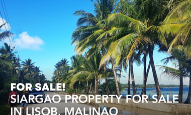 SIARGAO PROPERTY FOR SALE IN LISOB, MALINAO