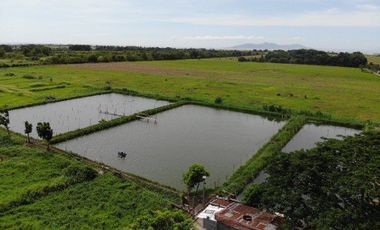 Caluan | Extensive 5 Hectares Agricultural Lot for Sale with Resthouse and Fish ponds in Caluan, Laguna Along National Highway