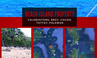 Breathtaking Beach Island Property in Palawan