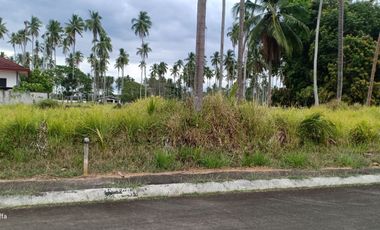 RESIDENTIAL FARM LOT FOR SALE IN TIAONG QUEZON
