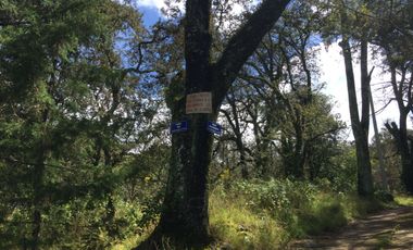 VENTA DE TERRENOS EN SINGUILICAN PROPIO PARA CASA DE CAMPO COMPLETAMENTE PLANO