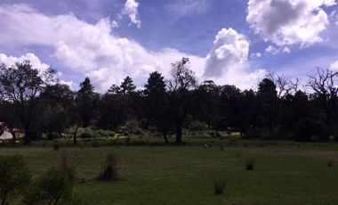 VENTA DE TERRENOS EN SINGUILICAN PROPIO PARA CASA DE CAMPO COMPLETAMENTE PLANO