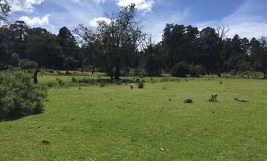 VENTA DE TERRENOS EN SINGUILICAN PROPIO PARA CASA DE CAMPO COMPLETAMENTE PLANO