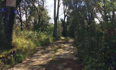 VENTA DE TERRENOS EN SINGUILICAN PROPIO PARA CASA DE CAMPO COMPLETAMENTE PLANO