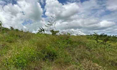 1 hectare property for Sale in San Fernando