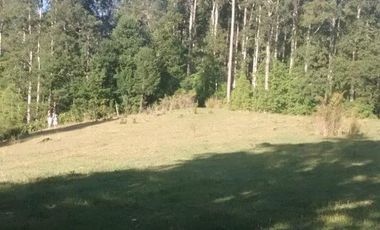 TERRENO DE 80 HECTÁREAS EN SAN JOSÉ DE LA MARIQUINA