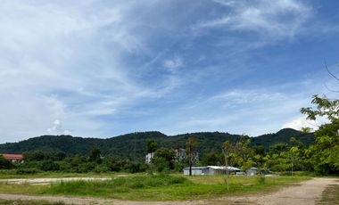13 Rai of flat land with mountain view for sale in Aonang, Krabi