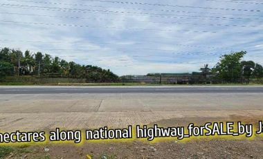 commercial land for SALE along the national highway in Sta. Cruz, Davao del Sur