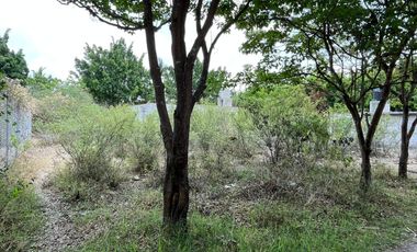Oportunidad de Casa en Cuautla