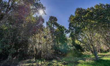 Parcelas Venta Hacienda Aguas del Maullín, Los Muermos, Los Lagos, LLanquihue