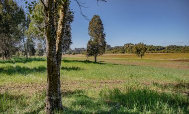 Parcelas Venta Hacienda Aguas del Maullín, Los Muermos, Los Lagos, LLanquihue