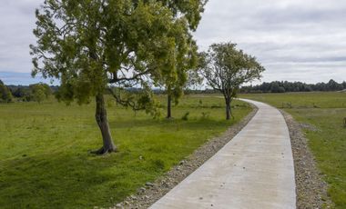 Parcelas Venta Hacienda Aguas del Maullín, Los Muermos, Los Lagos, LLanquihue