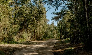 Parcelas Venta Hacienda Aguas del Maullín, Los Muermos, Los Lagos, LLanquihue