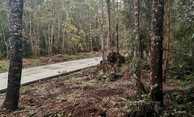 Parcelas Venta Hacienda Aguas del Maullín, Los Muermos, Los Lagos, LLanquihue