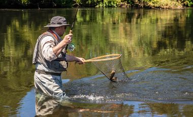 Parcelas Venta Hacienda Aguas del Maullín, Los Muermos, Los Lagos, LLanquihue