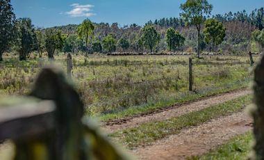 Parcelas Venta Hacienda Aguas del Maullín, Los Muermos, Los Lagos, LLanquihue