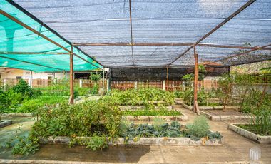 More-023PS Thai teak house for sale in Chiang Mai With swimming pool, Yard , vegetable plot , Near San Kamphaeng Market, San Kamphaeng District, Chian