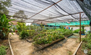 More-023PS Thai teak house for sale in Chiang Mai With swimming pool, Yard , vegetable plot , Near San Kamphaeng Market, San Kamphaeng District, Chian