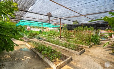 More-023PS Thai teak house for sale in Chiang Mai With swimming pool, Yard , vegetable plot , Near San Kamphaeng Market, San Kamphaeng District, Chian