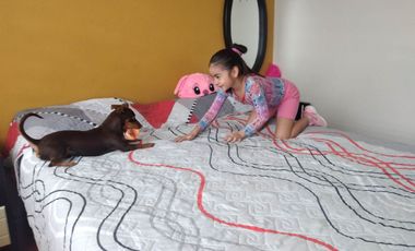 Venta de casa en Ibarra en Conjunto Sarahi, 4 dormitorios