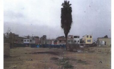 Terreno en Paracas de 36 Has