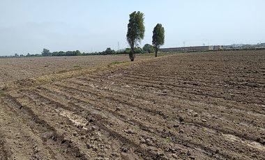 Terreno Agricola Huaral / Cerca a La Ciudad 7.89 Hectáreas