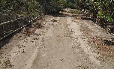 Terreno Agricola Huaral / Cerca a La Ciudad 7.89 Hectáreas