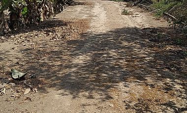 Terreno Agricola Huaral / Cerca a La Ciudad 7.89 Hectáreas