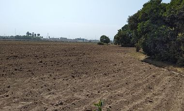 Terreno Agricola Huaral / Cerca a La Ciudad 7.89 Hectáreas