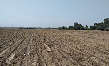 Terreno Agricola Huaral / Cerca a La Ciudad 7.89 Hectáreas