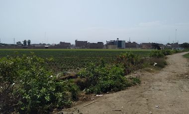 Terreno Agricola Huaral / Cerca a La Ciudad 7.89 Hectáreas