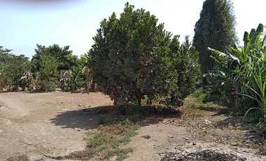 Terreno Agricola Huaral / Cerca a La Ciudad 7.89 Hectáreas