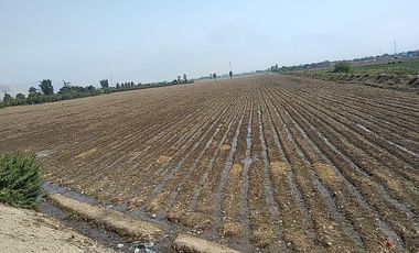 Terreno Agricola Huaral / Cerca a La Ciudad 7.89 Hectáreas
