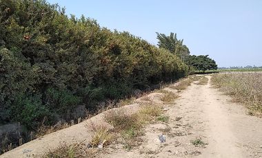 Terreno Agricola Huaral / Cerca a La Ciudad 7.89 Hectáreas