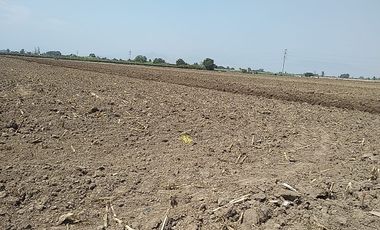 Terreno Agricola Huaral / Cerca a La Ciudad 7.89 Hectáreas